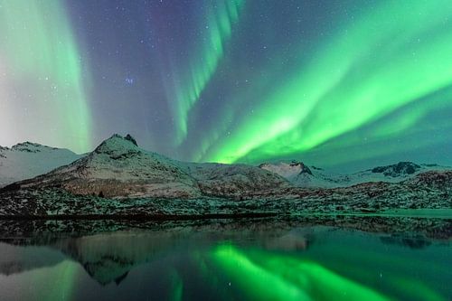 Noorderlicht of Aurora Borealis over de Lofoten eilanden in Noord-Noorwegen