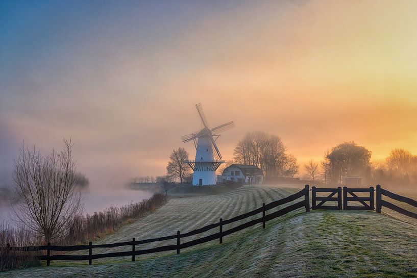 Mill The Butterfly by Herman de Raaf
