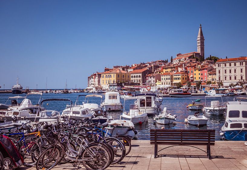 Haven met de stad Rovinj aan de Adriatische kust van Animaflora PicsStock