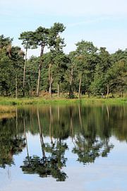 Waterspiegel van Jolanta Mayerberg