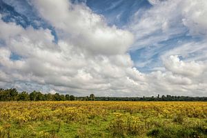 Natuurpark  het Dal van de Roode Beek van John Kreukniet