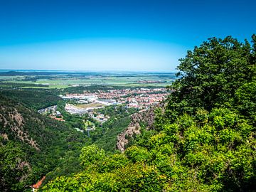 View of the town of Thale in the Harz Mountains by Animaflora PicsStock