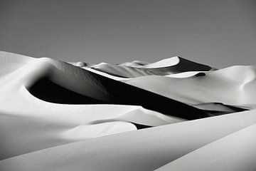 Sahara-Wüste, Sanddünen. von Frans Lemmens