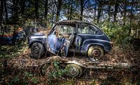 Oldtimer car Fiat 600 in the woods by Inge van den Brande thumbnail