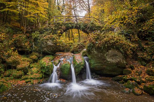 Herbst - Wasserfall - Luxemburg - Müllerthal