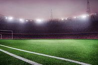 Voetbalveld met schijnwerpers Wereldbeker van Animaflora PicsStock thumbnail