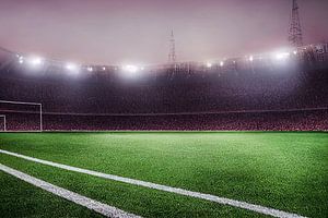 Fußballplatz mit Flutlicht Fußballweltmeisterschaft
