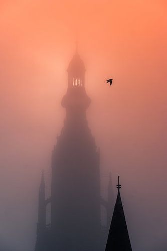 Grande église de Breda