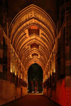 Dom church Urecht by Henk Langerak