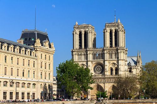 Notre-Dame met maan en blauwe lucht in de lente