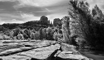 Red Rock Crossing - Cathedral Rock by Chrystyne Novack Art and Photography