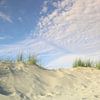 Dunes et nuages de la mer du Nord sur Ursula Reins