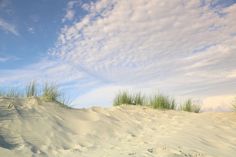 North Sea dunes and clouds by Ursula Reins