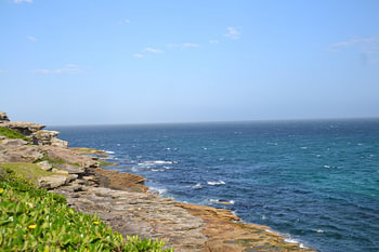 Rocky Shores