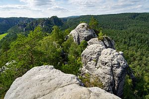 Ausblick vom Gamrig in die Sächsische Schweiz 2