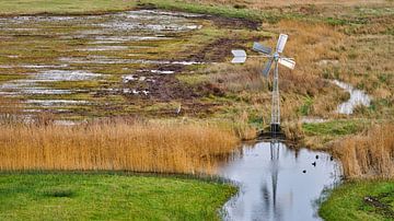 Meadow mill in nature reserve Mariëndal Den Helder by eric van der eijk