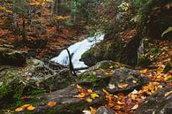 Herfst waterval van Christian Späth thumbnail