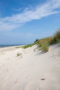 Ostseestrand
