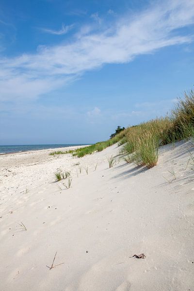 Baltic Sea Beach by t.ART