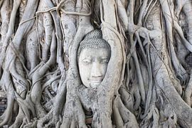 Buddha in Ayutthaya by Antwan Janssen
