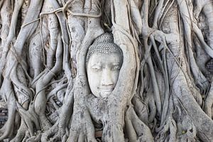Buddha in Ayutthaya