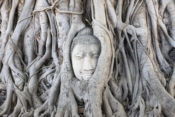 Boeddha in Ayutthaya
