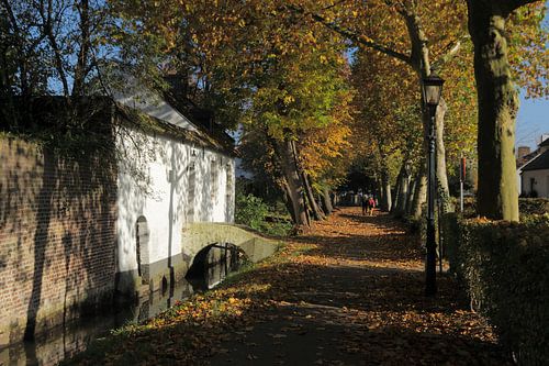 "Onder de Bomen" te Thorn