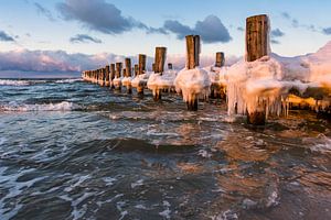 Buhne an der Ostseeküste in Zingst im Winter von Rico Ködder