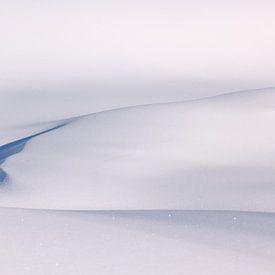 Winter minimalisme, Noorwegen van Adelheid Smitt