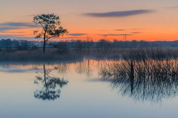 Zonsopkomst in het Nationaal Park Dwingelderveld van Henk Meijer Photography