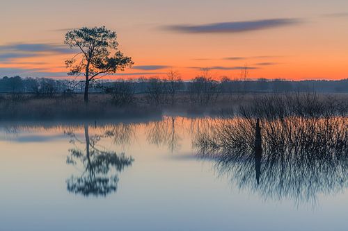 Zonsopkomst in het Nationaal Park Dwingelderveld