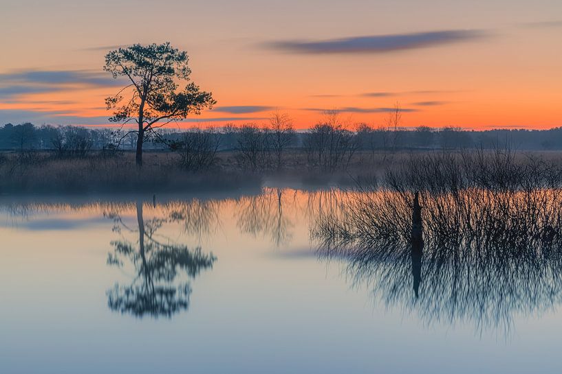 Sonnenaufgang im Dwingelderveld National Park von Henk Meijer Photography