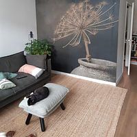 Kundenfoto: Stilleben mit großer getrockneter Bärenklaue in grauem Steingefäß von Mayra Fotografie, auf Fototapete