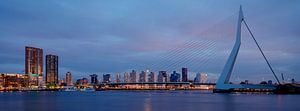 Erasmusbrücke am frühen Morgen