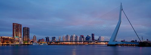 Erasmusbrücke am frühen Morgen