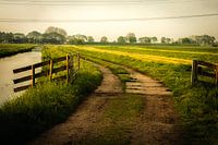 Follow the path