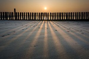 Schatten von Peter Bijsterveld