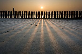 Shadows