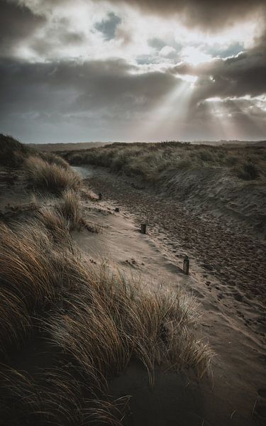 Dunes with threatening skies by Dirk van Egmond