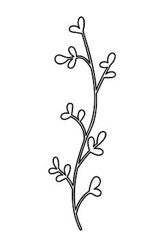 Botanische basis. Zwart-wit tekening van eenvoudige bladeren nr. 10 van Dina Dankers