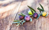 Mediterrane groene en zwarte olijvenvruchtentak op rustieke houten tafel