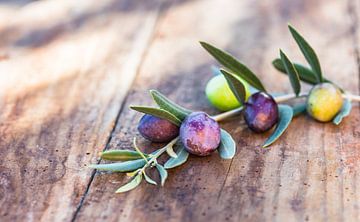 Mediterrane grüne und schwarze Olivenfrüchte Zweig auf rustikalen Holztisch von Alex Winter