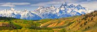 Panorama Grand Teton National Park, Wyoming von Henk Meijer Photography Miniaturansicht
