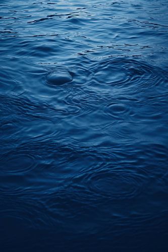 Beauty of the ocean