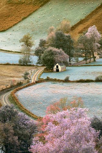 Ombres sur Lars van de Goor