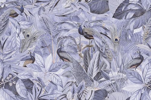 In the tropical jungle of peacocks by Andrea Haase