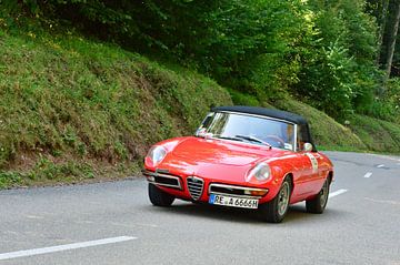 Alfa Romeo Duetto EGGBERG CLASSIQUE 2019 sur Ingo Laue