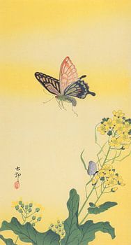 Ohara Koson - Zwaluwstaartvlinder en koolzaad (bewerkt)