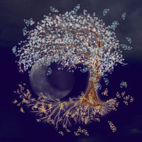 Tree of life in the night