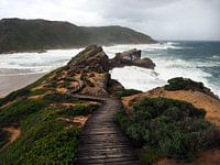"L'île" Réserve naturelle de Robberg